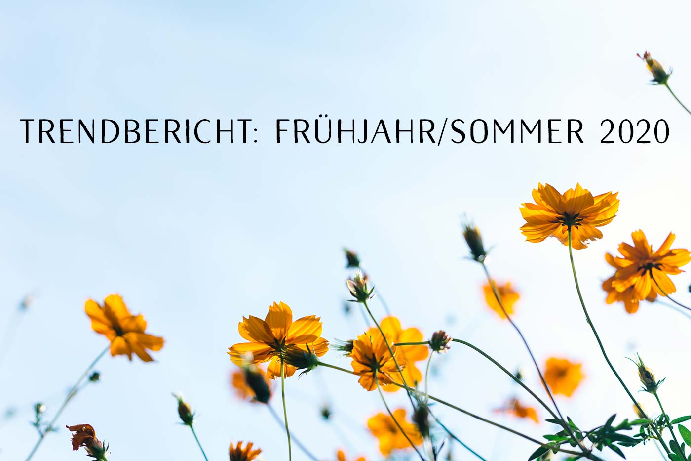 Claris Schmuck Trendbericht Frühjahr-Sommer